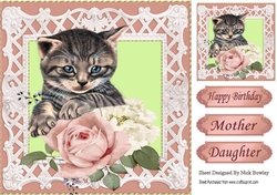 Pretty peach roses with kitten in  lattice 8x8 frame
