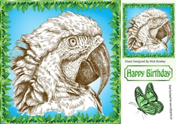 Lovely black and white sketch of a parrot in 8x8 leaf frame