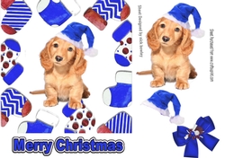 Cute puppy in blue santa hat in christmas sock frames 7x7