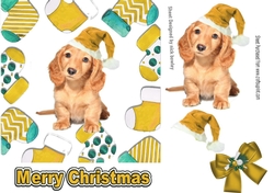 Cute puppy in gold santa hat in christmas sock frames 7x7