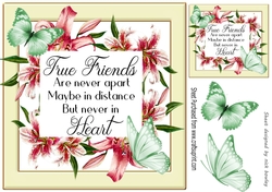 True friend verse! in pretty pink lily frame with butterflies 8x8