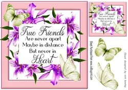 True friend verse! in pretty purple lily frame with butterflies 8x8