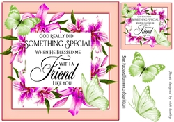 Blessed friend verse! in pretty pink/peach lily frame with butterflies 8x8