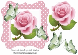 Pretty in pink polkadot 7x7 frame with pink roses