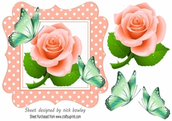 Pretty in peach polkadot 7x7 frame with peach roses