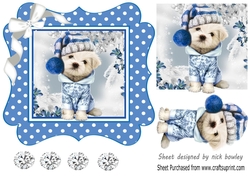 Cute pooch in blue polkadot 7x7 frame with bow