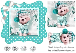 Cute pooch in turq polkadot 7x7 frame with bow