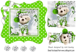Cute pooch in green polkadot 7x7 frame with bow