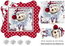 Cute pooch in red polkadot 7x7 frame with bow