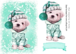 Cute puppy in turq christmas knitted hat A5