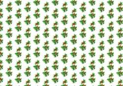 Holly with red berries backing paper
