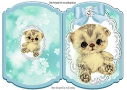 Cute little kitten with blue bow on lace bracket card