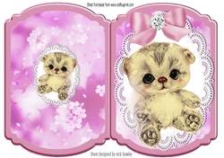Cute little kitten with pink bow on lace bracket card