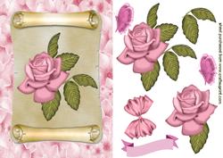 Pink Rose on a Scroll