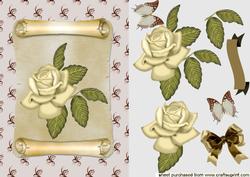 Cream Rose on a Scroll