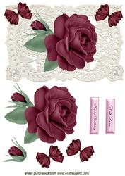 Dark Rose on Ecru Lace