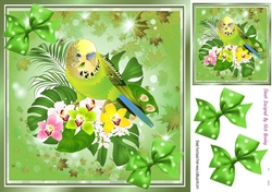 Cute green budgie with polkadot bows 8x8 (one)