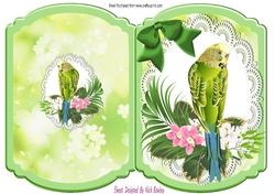Pretty green budgie on lace with bow bracket card (four)