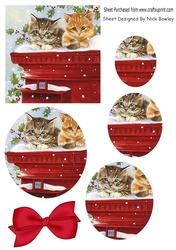 Cute kittens and holly with pillar box oval pyramids