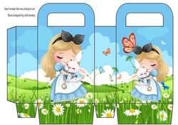 sweet little girl in the meadows gift bag/box (two)