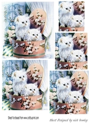 Cute kittens in hat gift box pyramids