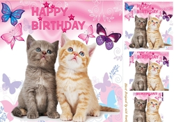Cute furry friends kittens with butterflies 8x8