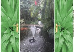 Goldfish with Fountain Tropical Leaves Gatefold