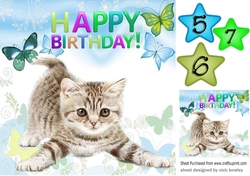 Cute little kitten with blue butterflies 8x8