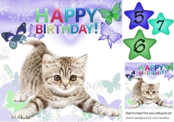 Cute little kitten with purple butterflies 8x8
