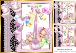 Pretty pink black lace border with baby girl on swing 8x8 frame