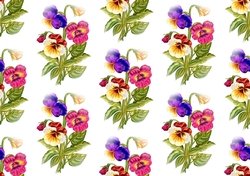 pretty coloured pansies (SMALL) Backing paper