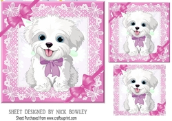 cute puppy with pink bows and lace 7x7