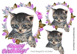 cute kitten in flower frame 