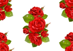 red rose backing paper( big)