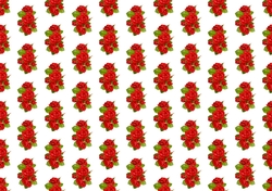 red rose backing paper(small)