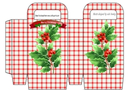 Lovely Holly in red check small gift bag