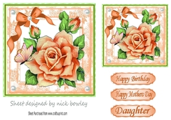 Pretty peach roses with bow and butterfly 7x7