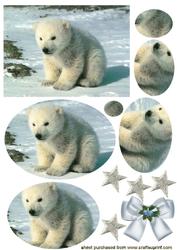 Fluffy White Baby Bear Oval Pyramids