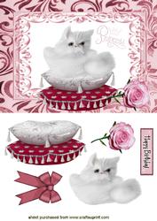 Princess, the Fluffy White Kitten