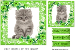 Green lace frame with flowers and a kitten 7x7