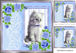 cute white kitten with blue roses and lace 8x8 window card