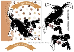 playful black/white dog 7x7, card front