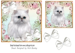 Pink Floral 7x7 card front with a white persian kitten