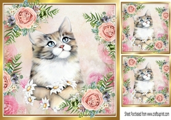 Pretty Peach/Pink Roses with a cute kitten 8x8