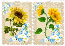 Two Pretty A5 Vintage Ecru lace Toppers with Sunflowers