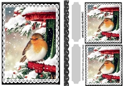 Pretty Robin in the snow A5 Black lace frame