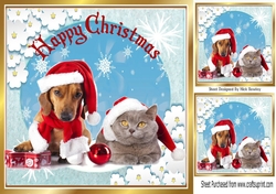 Lovely Dog & Cat in santa hats in snow scene 8x8