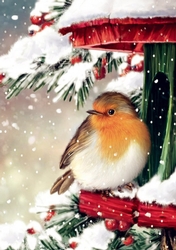 Lovely Robin in the snow A4