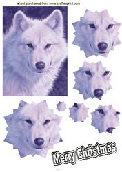 Snow Wolf! Star Pyramids