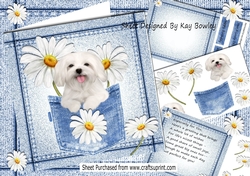 Cute White Dog With Daisies in Denim Pocket 8x8 Mini kit